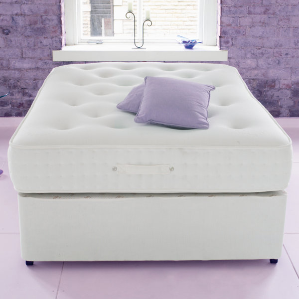 Symple Stuff Coil Sprung Divan Bed & Reviews Wayfair.co.uk
